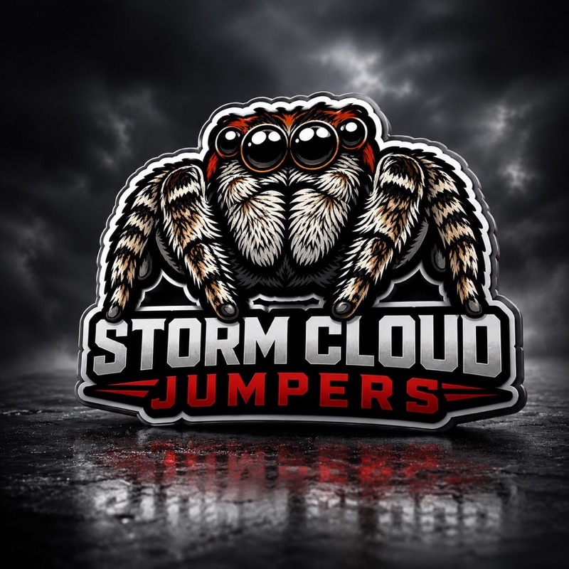 Storm Cloud Jumpers logo